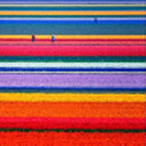 Meet your Posher, Kristin - Picture 1 of 1